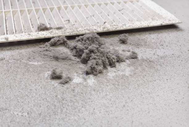 Best Best Air Duct Cleaning Company  in Cheboygan, MI