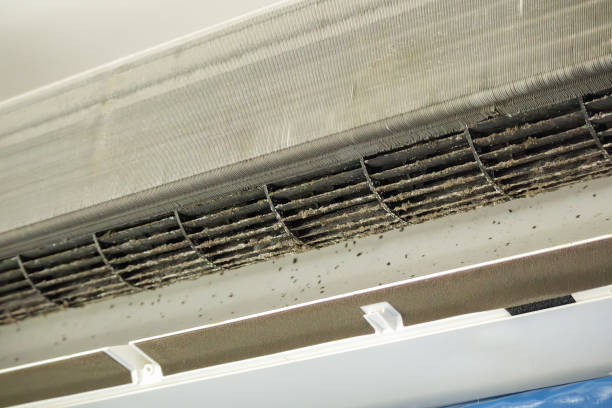 Best Ventilation Cleaning Services  in Cheboygan, MI