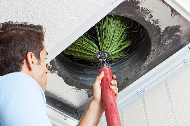 Best Commercial Air Duct Cleaning  in Cheboygan, MI