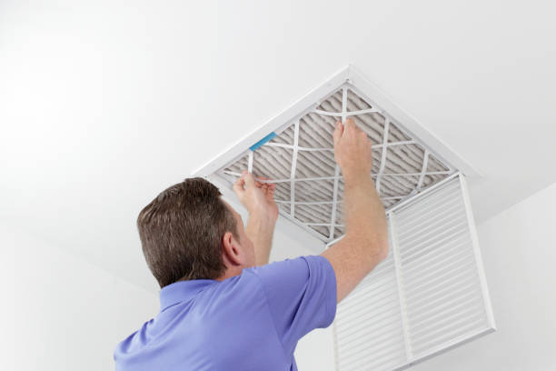 Best Home Air Vent Cleaning  in Cheboygan, MI